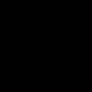 Meet your Posher, Gary